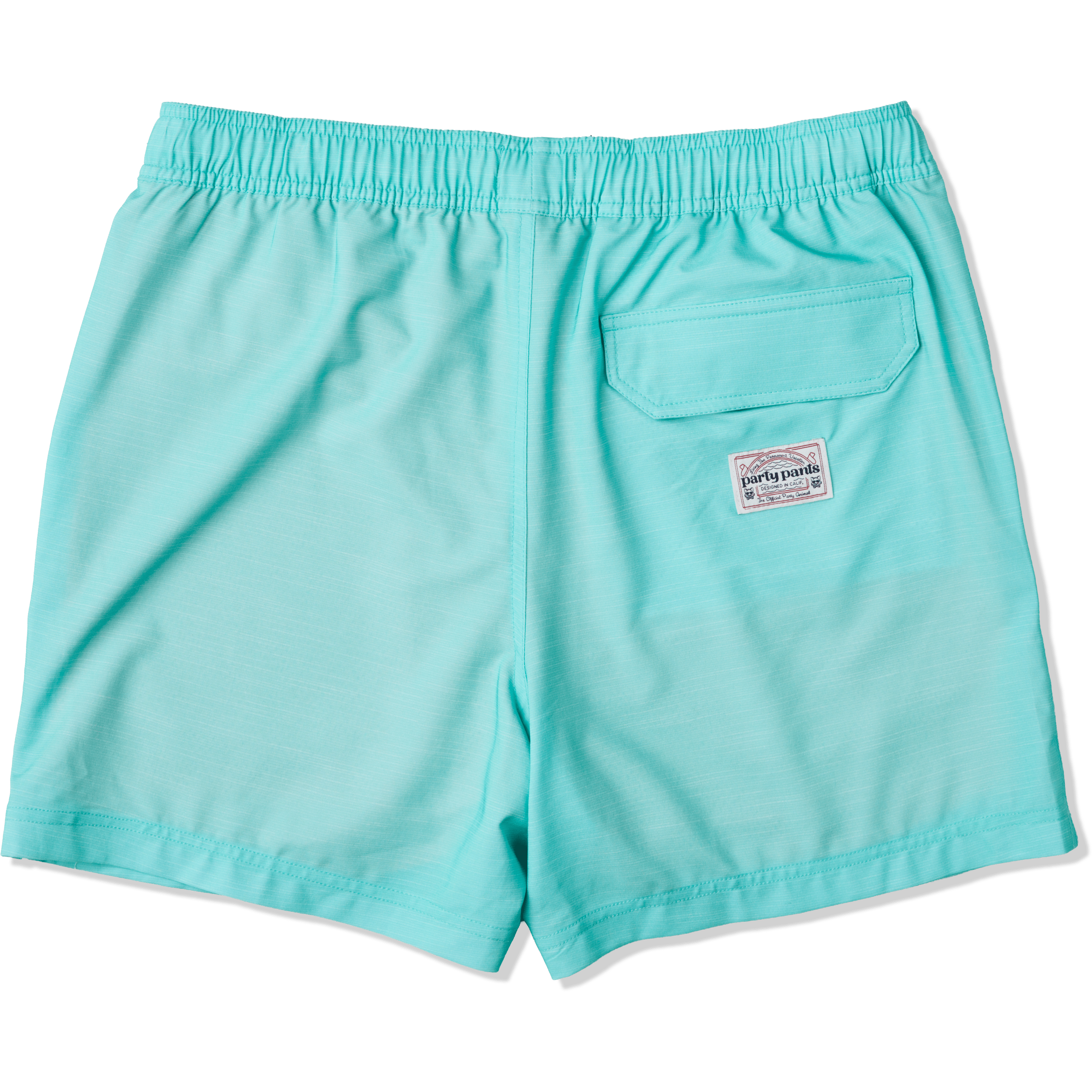 Solid Mint Green - Men's 5" Happy Hour Swim Trunks PARTY STARTER SHORT PARTY PANTS 