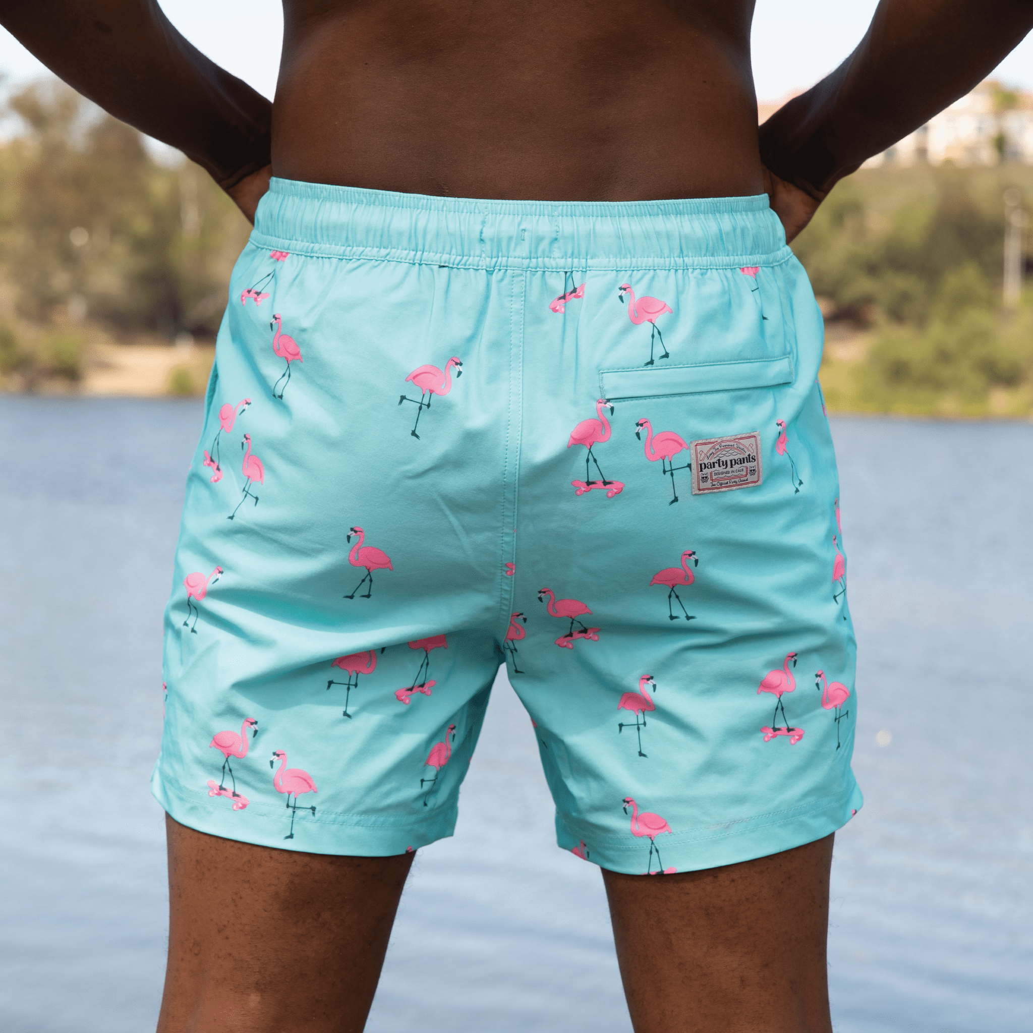Party Pants Cruiser Flamingoes Sky Blue Board Shorts
